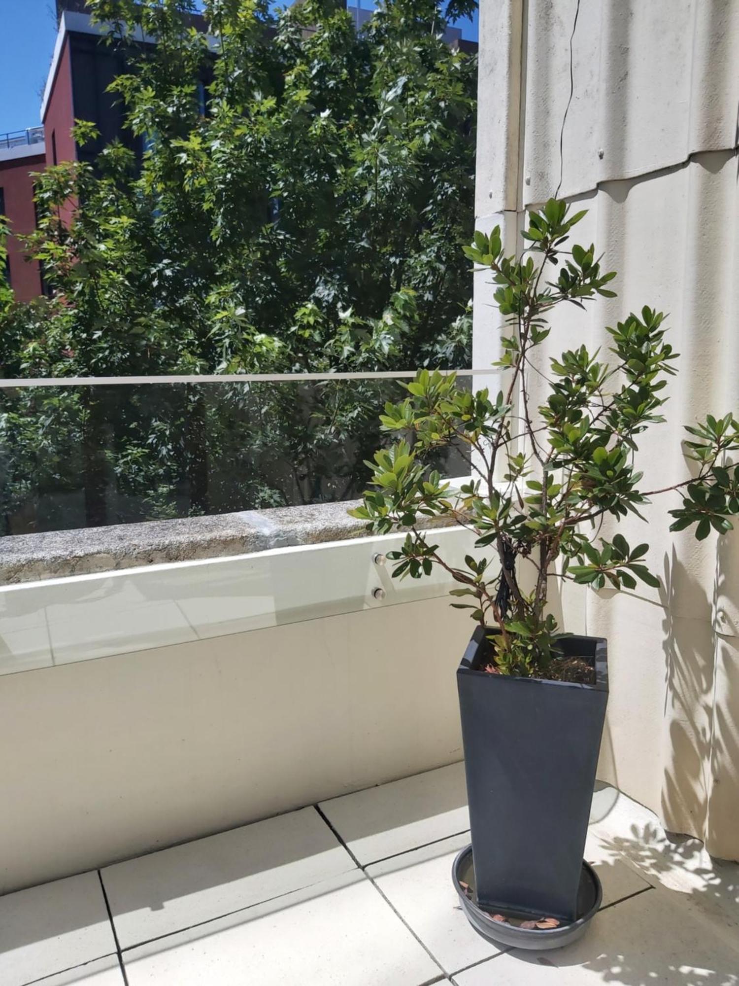 Porto Terrace Apartment Exterior foto